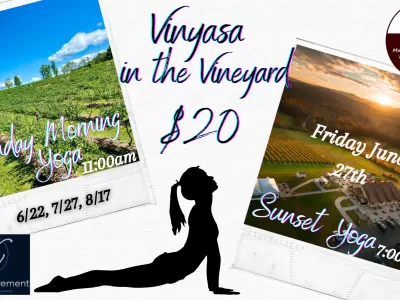 Vinyasa in the Vineyard