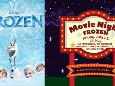 Frozen Movie Night