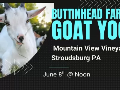 Goat Yoga