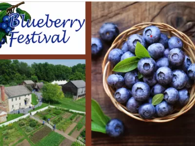 38th Annual Blueberry Festival