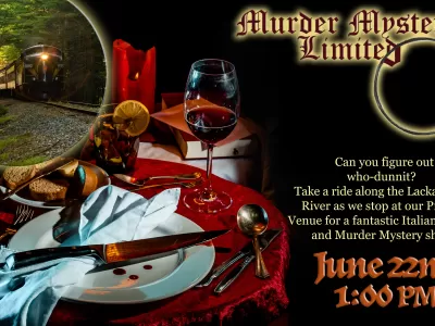 Murder Mystery Limited