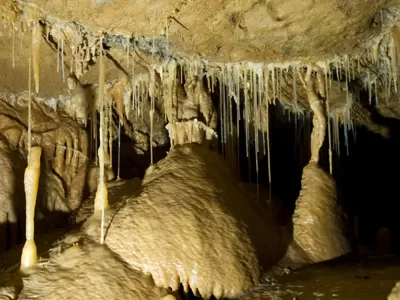 Workshop Wednesdays: Crazy About Caves and Troglo Who?