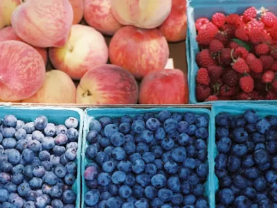 Red, White & Bloom: Linvilla’s 4th of July Sale