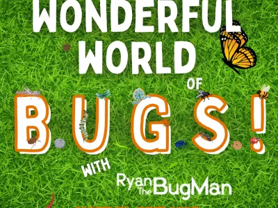 The Wonderful World of BUGS!