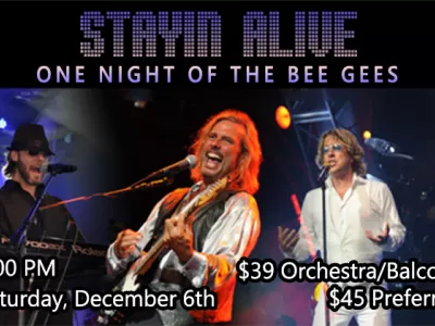 Stayin Alive – One Night of the Bee Gees