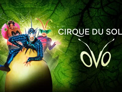 Cirque Du Soleil - Ovo