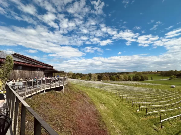 12th Anniversary Deck Celebration at Grandview Vineyard