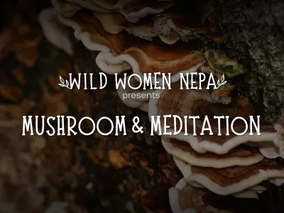 Mushroom & Meditation Hike (Women Only)