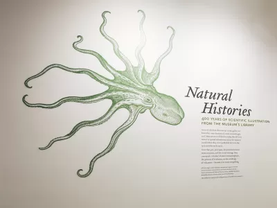 Natural Histories: 400 Years of Scientific Illustration