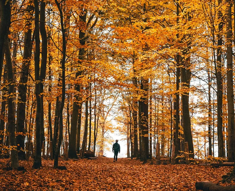 Bear Creek Preserve, Wilkes-Barre
