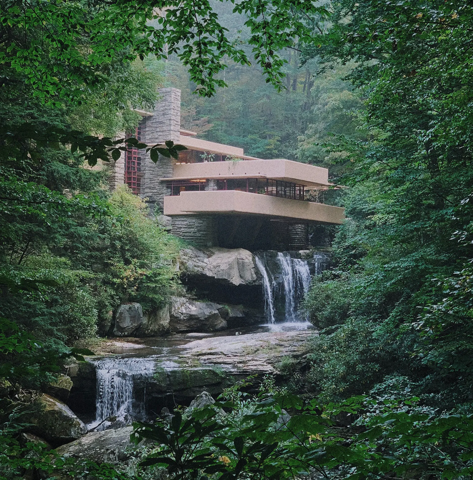 The house known as Fallingwater surrounded by trees