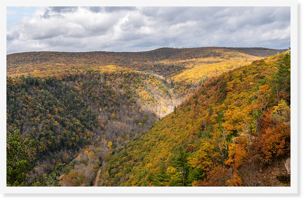 Bright colored trees in Autumn covering a wide gorge