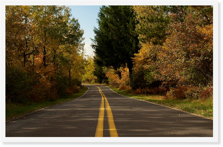 Road throught a fall forest