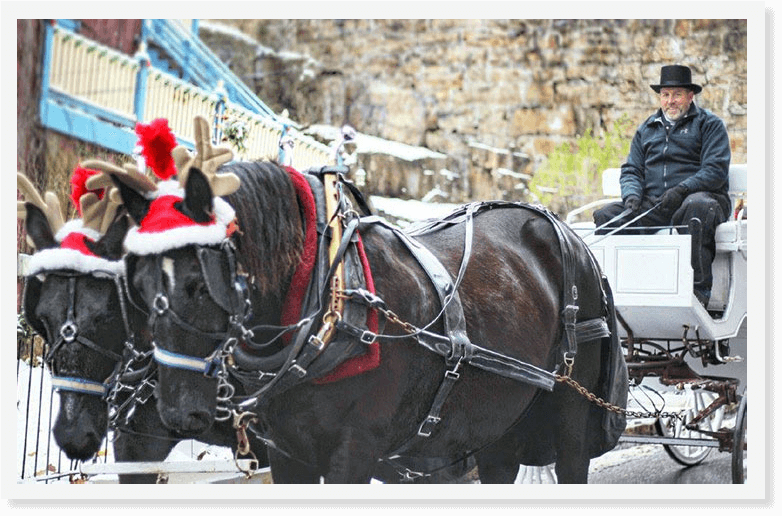 Holiday Horse carriage ride