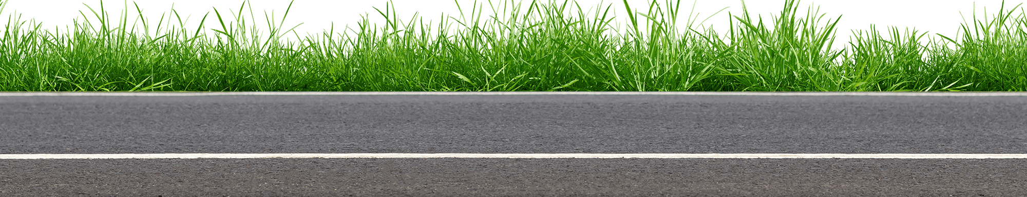 grass by road decorative graphic